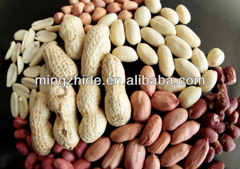 Roasted Soybeans , roasted & salted soybean, snack,China MZD price