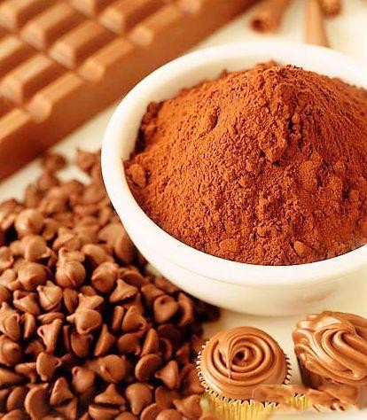 Raw material cocoa powder at the lowest price
