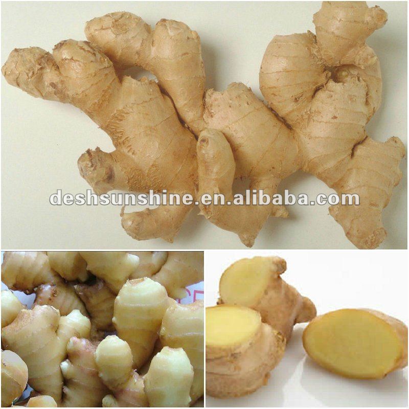 Top Quality 2012 New Crop Fresh Ginger