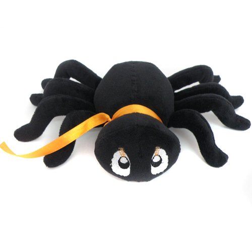 photo of a spider