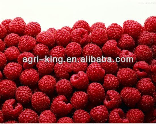 Frozen pi raspberry