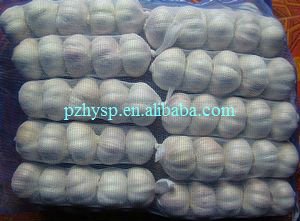fresh garlic/ginger /onion in Pizhou Huai Yin Food