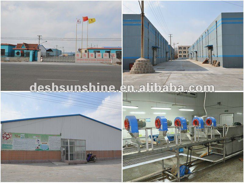 2012 New Crop Grade A Chinese price onions