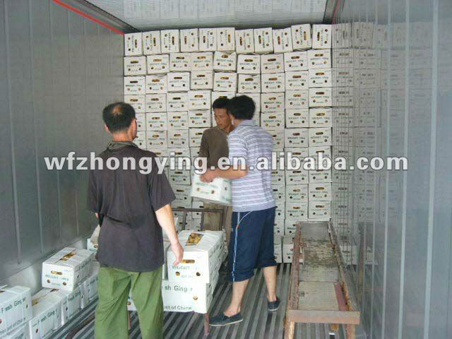 new crop half air dry ginger for sale