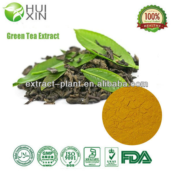Green tea extract powder gmp manufacture supply in China