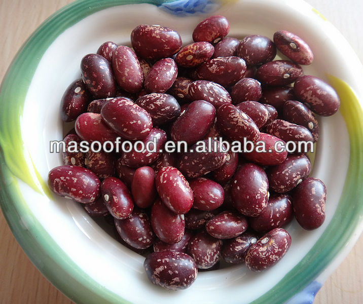 New 2013 Crop Export dry long PSKB - Purple Speckled Kidney Beans from China