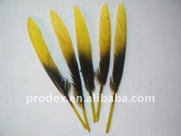 pfo-054.jpg