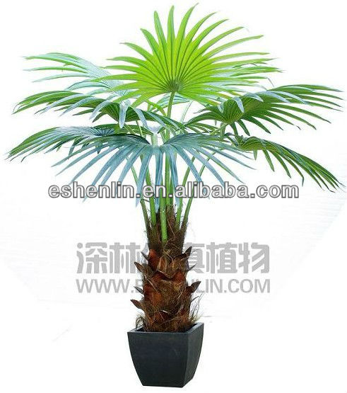 卸売絹の樹木や植物屋内鉢植えのヤシの木中国で問屋・仕入れ・卸・卸売り
