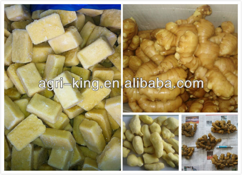 IQF Ginger Garlic Paste