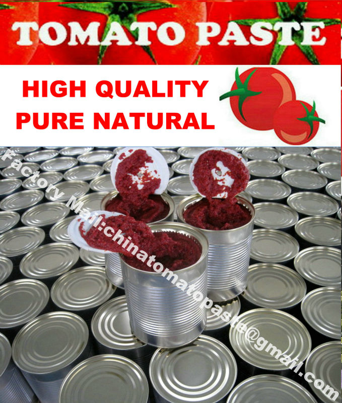 Canned Tomato Paste 22-30 Brix 850g/tin OEM