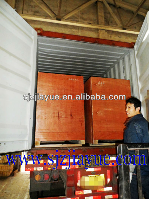continuous Onion frying machine