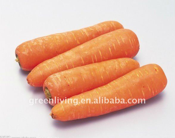 jumbo carrot fresh carrot 2011