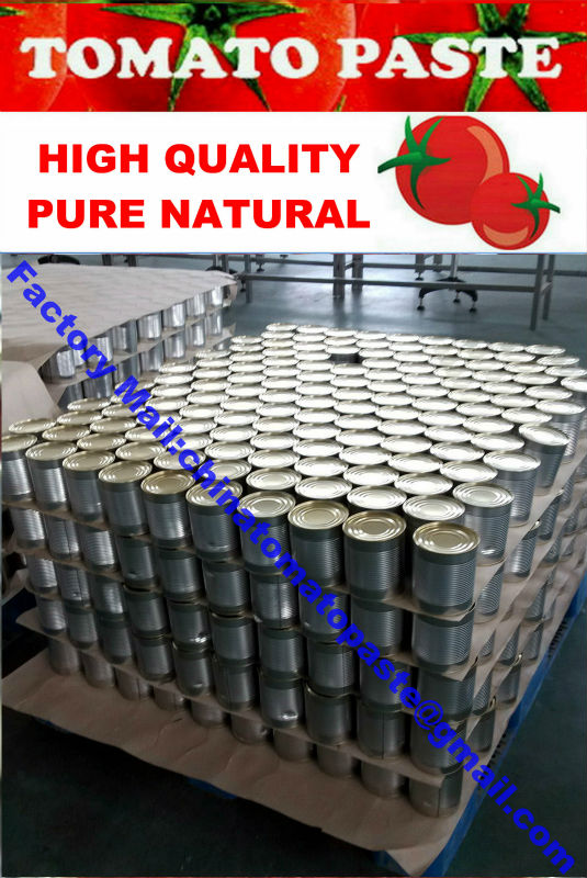 Canned Tomato Paste 22-30 Brix 850g/tin OEM