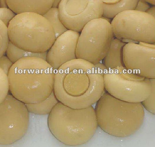 800g canned whole button mushroom in brine fresh white button mushroom