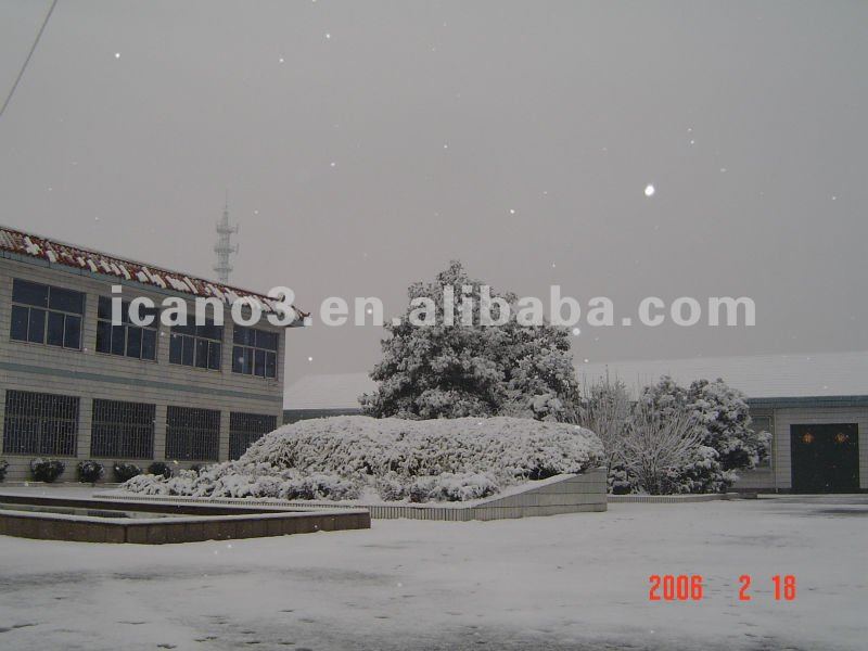 DSC02581