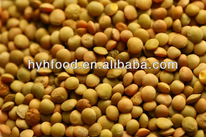 lentils.jpg