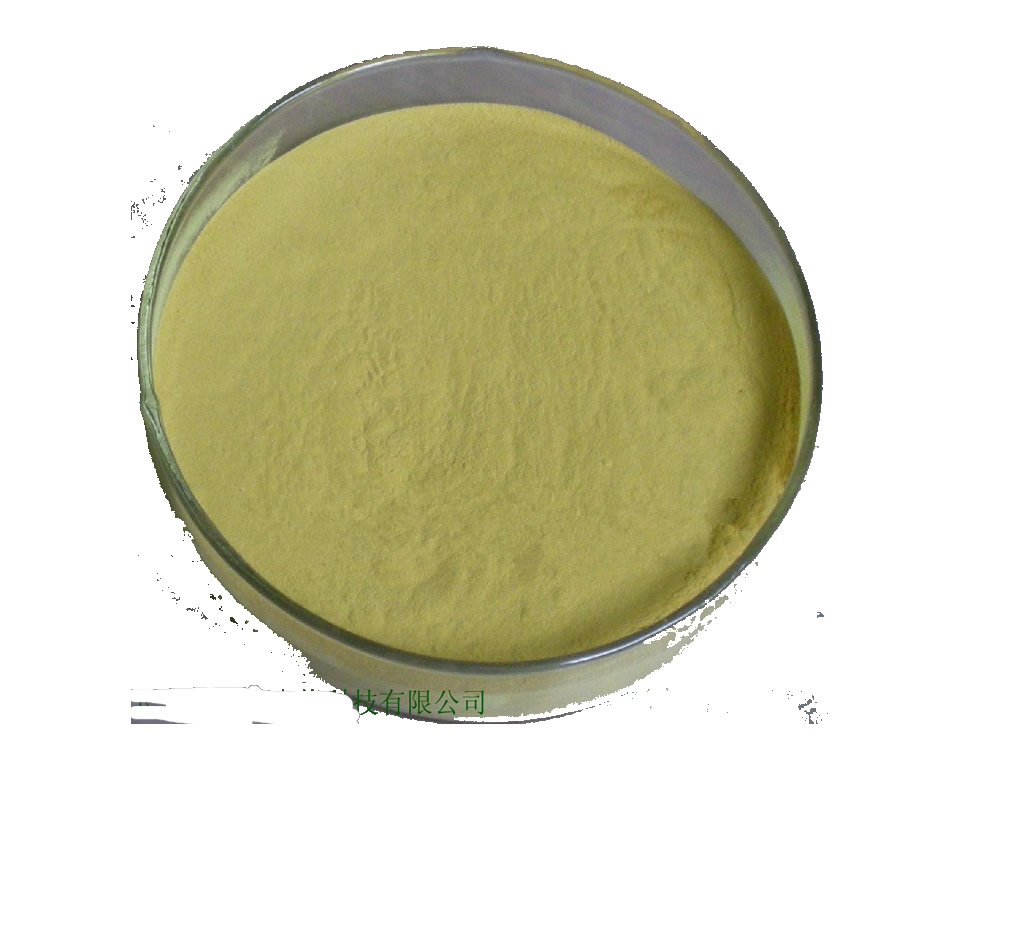 High quality natural Green tea Extract powder