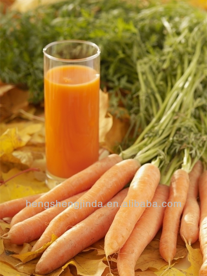 2013 fresh carrot from china