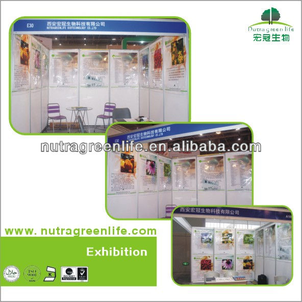 High Quality Aloe Vera Extract