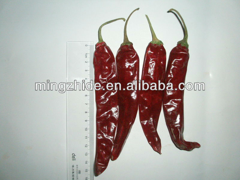 hot pepper,red chilli importers