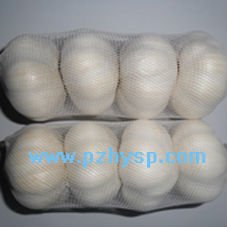 Garlic price from China (the mostcompetitive price)