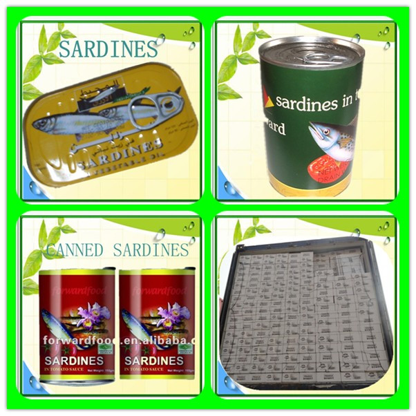 425g best canned Sardines in brine, tomato sauce, oil(canned fish)