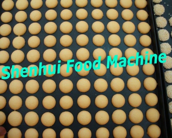 sponge biscuit.jpg