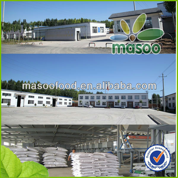 Masoo flour suppliers to sale flour price per ton