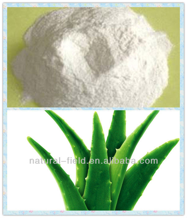 200x &100x Aloe Vera Gel Freeze Dried Powder,China NF price supplier