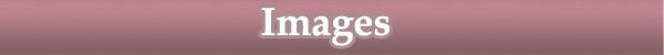 2.Images.jpg