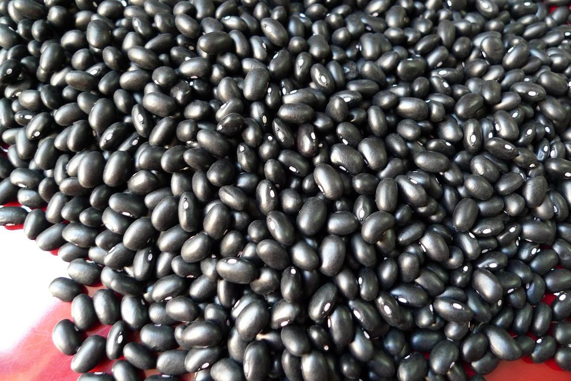 P1000581.JPG