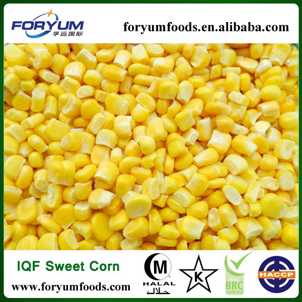with HACCP BRC ISO certificate sweet corn for sale