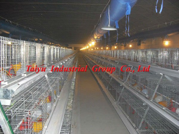 Taiyu- 6鶏が卵のケージを敷設システム( 輸出標準、 アテンドの見本市で、 プロジェクト実施しています、 いくつかの国では機関を持って)問屋・仕入れ・卸・卸売り
