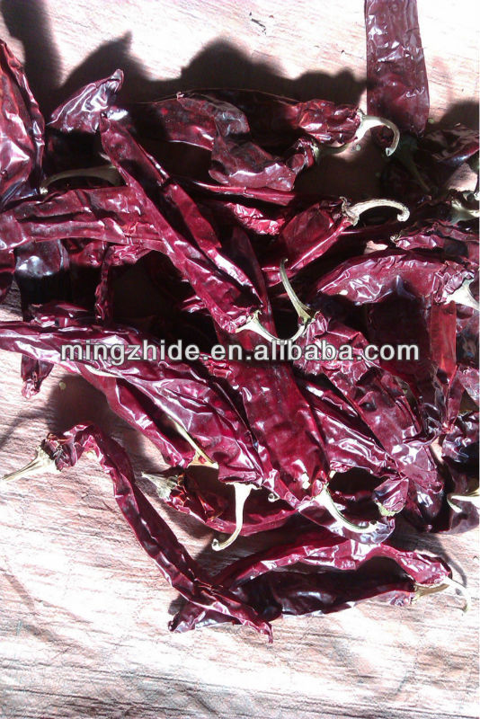 Yidu chilli,paprika ,Jinta chilli, chaotian chilli