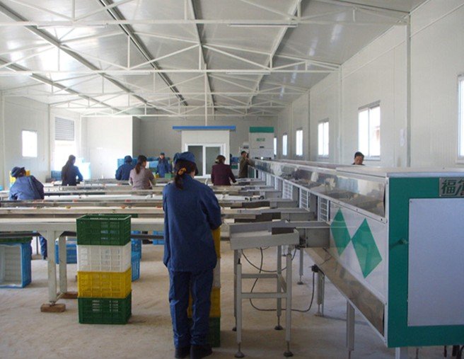 orange opto-electronic grading line