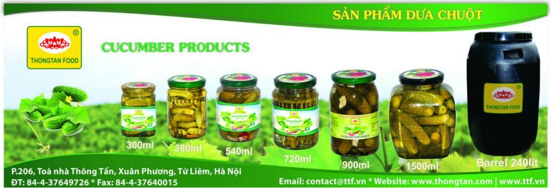 Gherkins in 240/260 Lts Drums (Bulk)