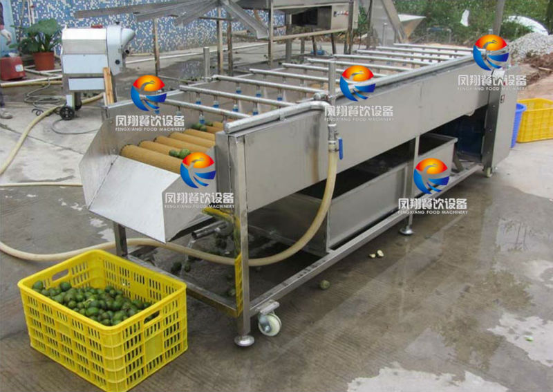 HP-360 industrial Fruit Washing Machine Pulm washing machine