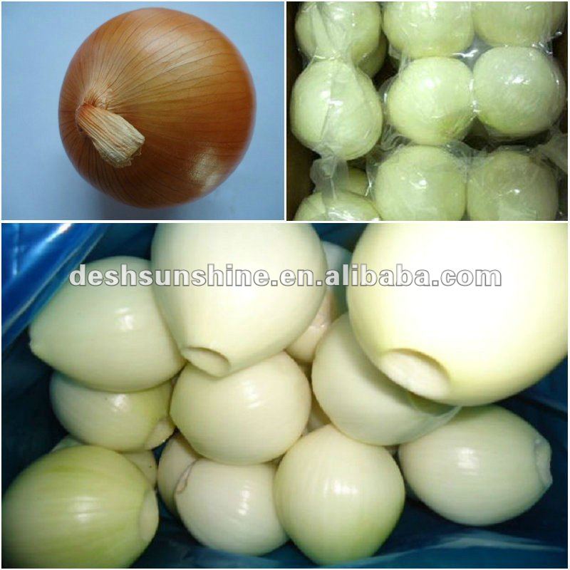 fresh peeled yellow onion from China
