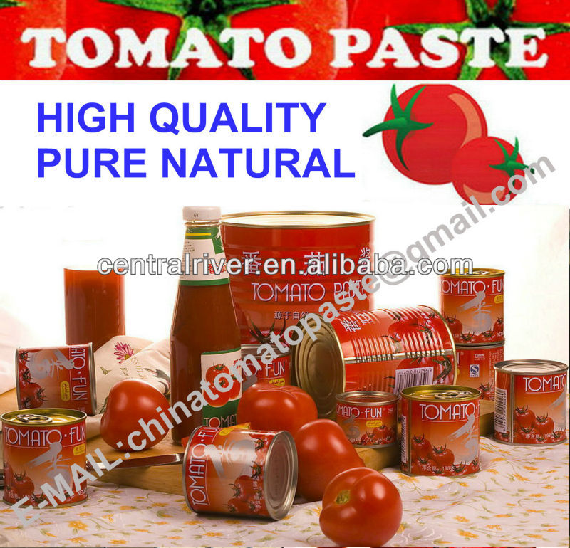 Canned tomato factory Canned Tomato Paste 400g/tin