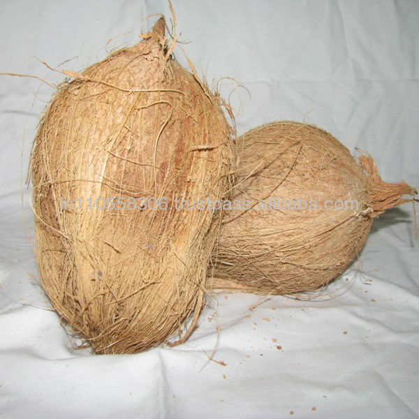 quality mature coconuts from tamilnadu