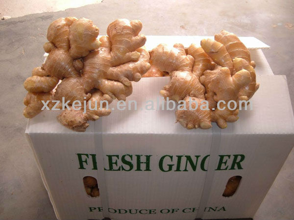 2013 200g fresh ginger and half dry ginger with 10kg carton package