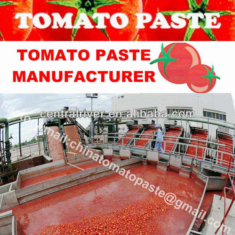Tomato paste 36-38 Brix Cold break 2013 Crop