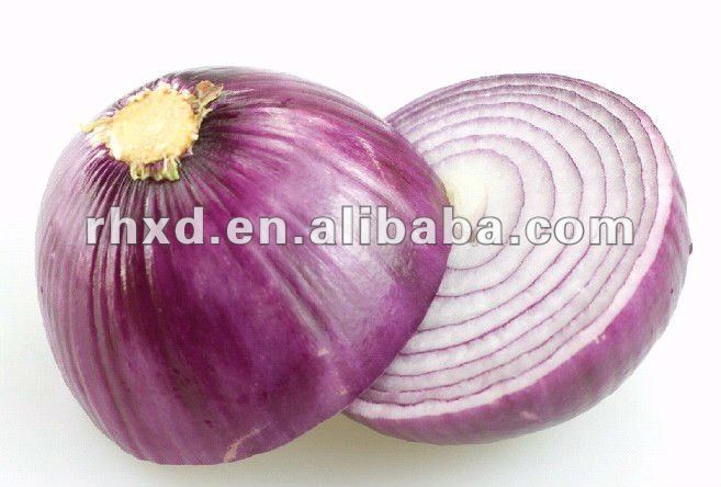 fresh red onion(2013 lowest price)