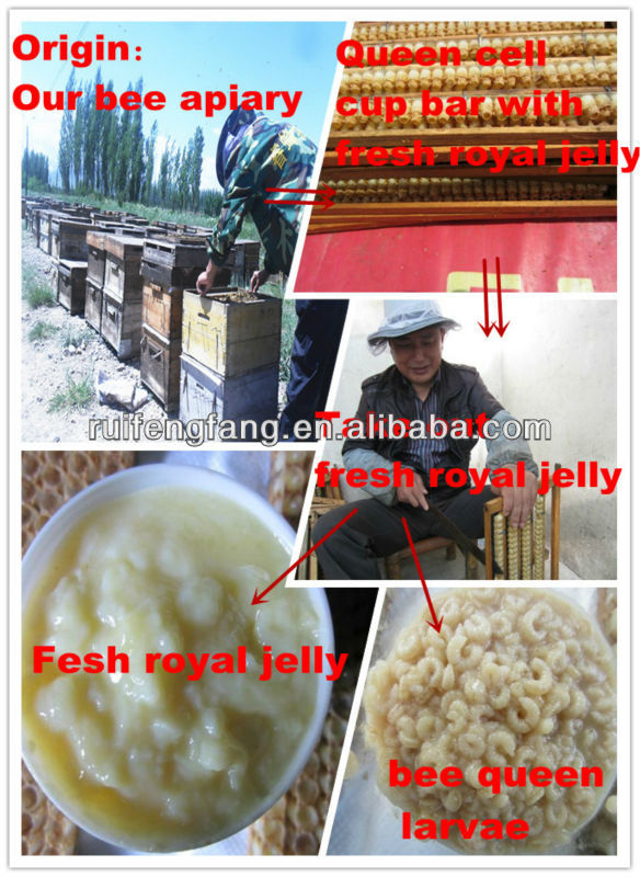 frozen royal jelly / instant jelly powder