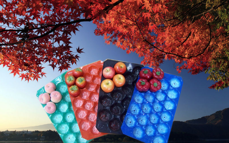 FDA/SGS/Colorful Trays For Fruit