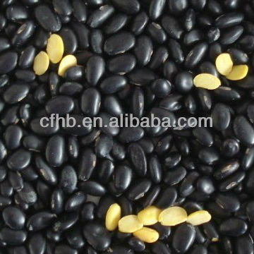 Round shape yellow kernels black beans