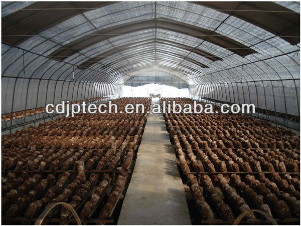 Tunnel Greenhouse for Agriculture