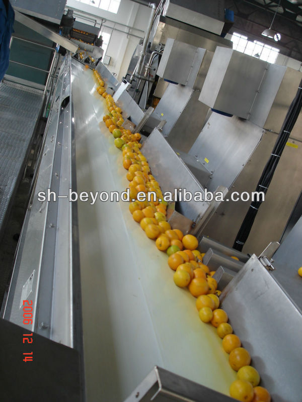 citrus juice processing line orange juice processing plant