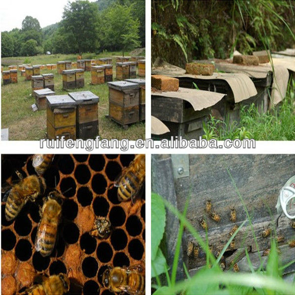 Bulk natural organic food grade bee bread
