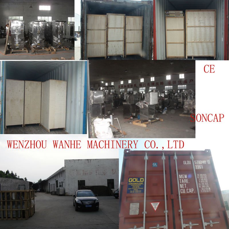 WHIII-F300 Automatic Cocoa Powder Packing Machine